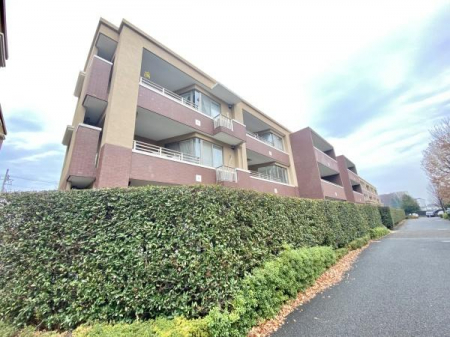 ���̑����n�@-