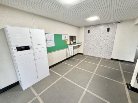 �G���g�����X�@-