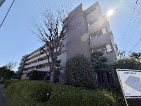 ���̑����n�@-