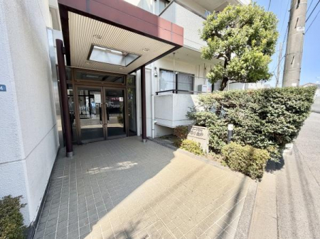 �G���g�����X�@-